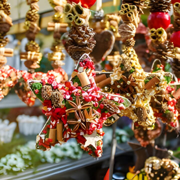 Christmas Beamish & Amazing Alnwick Lights