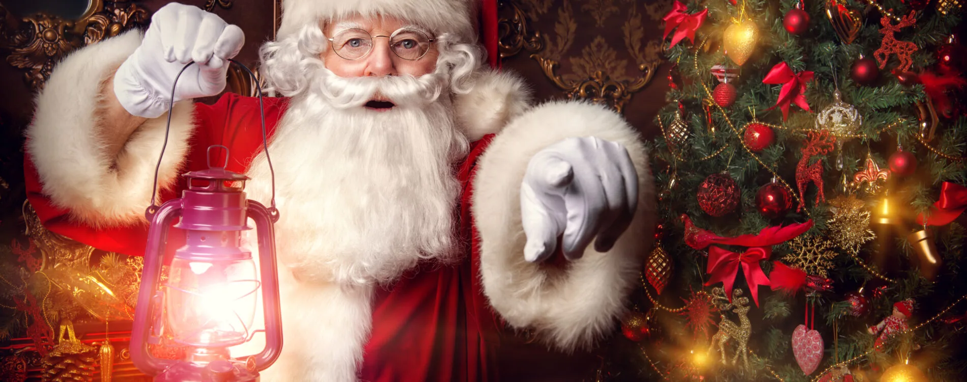 Christmas at Bute Park