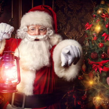 Christmas at Bute Park