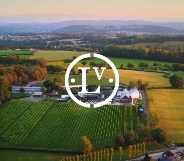 Wine Tasting at Llanerch Vineyard